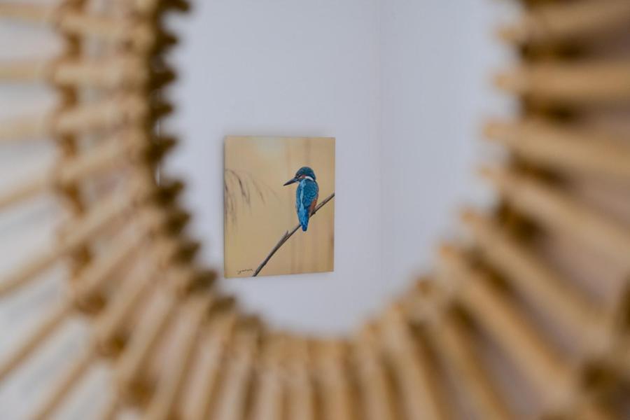 Gites L'Escargot Bleu Oloron-Sainte-Marie Dış mekan fotoğraf